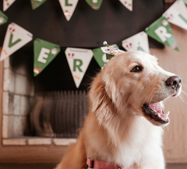 01082021-hotel-canto-verde-137