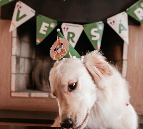 01082021-hotel-canto-verde-141